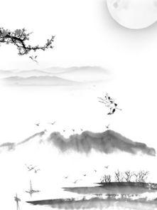 热点爆料中国画视频素材,传承与创新的艺术之旅  第2张