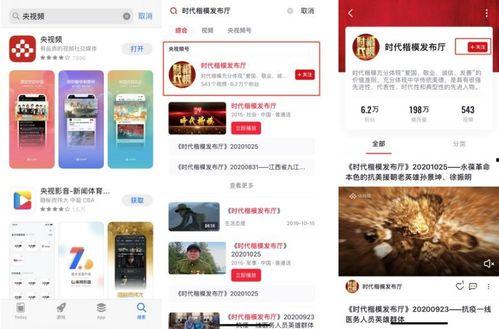 日本投票爆料视频大全最新