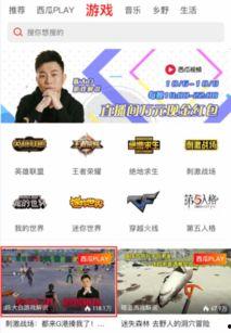 西瓜主播王者最新爆料,揭秘游戏界最新动态与内幕