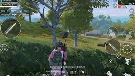 新季节雨林爆料视频完整版,完整版爆料视频深度解析  第2张