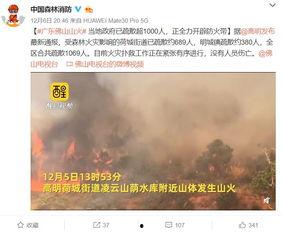 高明爆料视频,事件背后惊人真相