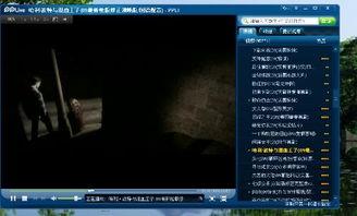 哈雷特爆料视频完整版,惊人内幕与真相大白