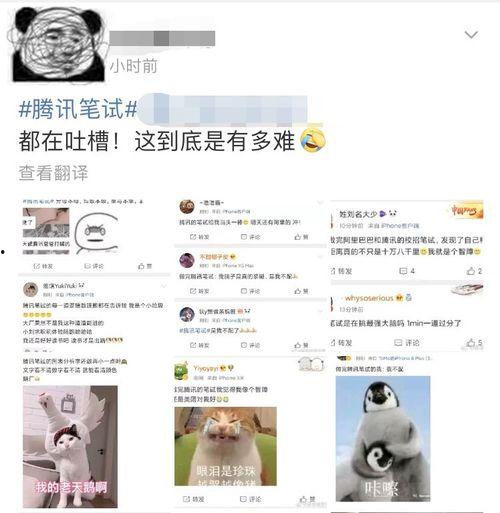 小蛙最新爆料,揭秘娱乐圈最新动态 第2张 小蛙最新爆料,揭秘娱乐圈最新动态 第2张