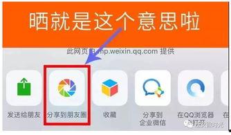 最新福利爆料,惊喜连连，福利满满，你值得拥有！