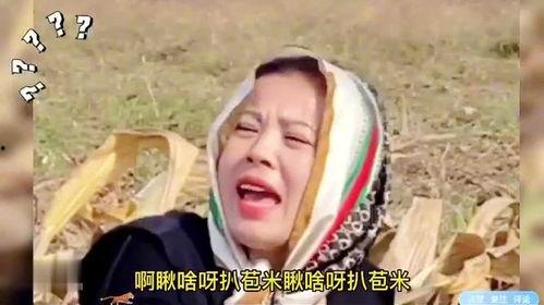 搞笑爆料村长事件视频,笑料百出引网友热议 第2张 搞笑爆料村长事件视频,笑料百出引网友热议 第2张