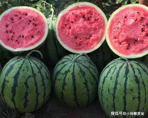 吃瓜网红文案怎么写好一点,瓜界达人教你轻松写出爆款吃瓜文案 第2张 吃瓜网红文案怎么写好一点,瓜界达人教你轻松写出爆款吃瓜文案 第2张