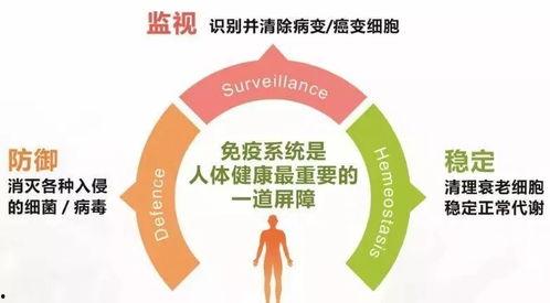 吃瓜网红文案怎么写好一点,瓜界达人教你轻松写出爆款吃瓜文案 第3张 吃瓜网红文案怎么写好一点,瓜界达人教你轻松写出爆款吃瓜文案 第3张