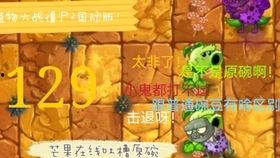 火鸡投手爆料视频大全下载,揭秘幕后真相与精彩瞬间  第2张
