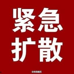 最新官方爆料消息,科技巨头新动向及行业变革前瞻  第2张
