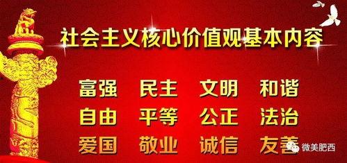 肥西女婿爆料新闻最新,揭秘家庭琐事背后的惊人真相