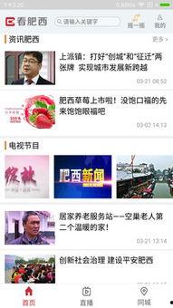 肥西女婿爆料新闻最新,揭秘家庭琐事背后的惊人真相  第2张
