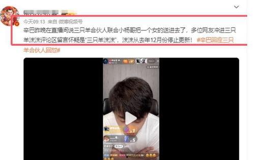 爆料网吧大神小杨哥视频,揭秘电竞传奇背后的故事  第3张