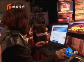 河北在线直播观看视频,全景式体验家乡魅力  第3张