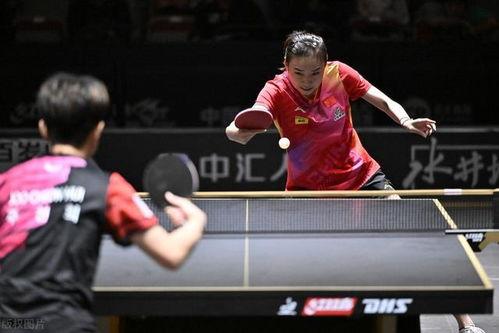 乒乓球圈内人爆料视频大全,揭秘精彩瞬间与幕后故事  第2张