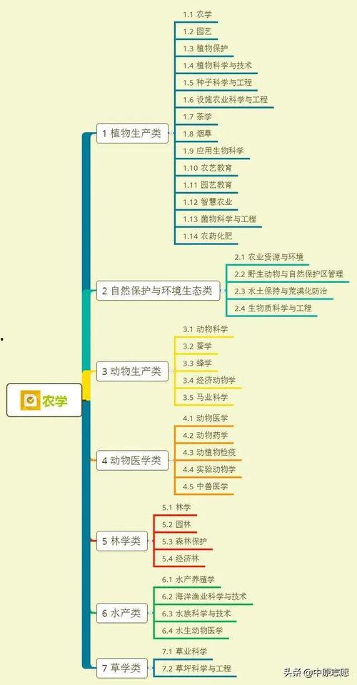 天涯爆料僵尸视频大全集,僵尸视频大全集深度解析  第3张