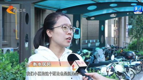 衡水女网红爆料新闻事件,揭秘背后真相