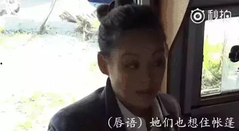 娱乐圈互相吃瓜的是谁,揭秘明星间的神秘互动  第2张