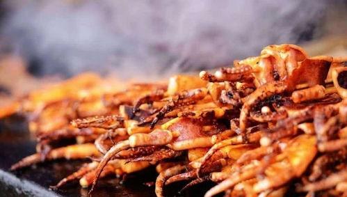 街头鱿鱼爆料怎么做的视频,跟随视频学做美味鱿鱼