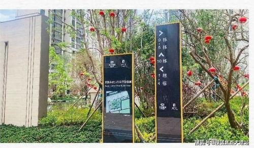 龙悦华府最新爆料消息,揭秘神秘豪宅背后的惊人真相  第2张