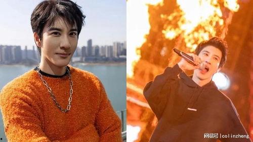 王力宏爆料图片大全视频,独家揭秘背后的故事与瞬间  第3张