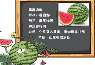 白云吃瓜小说免费阅读,揭秘小说世界中的趣味故事