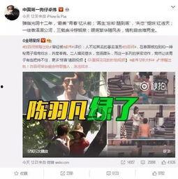 李洋洋爆料视频大全集,揭秘娱乐圈幕后真相