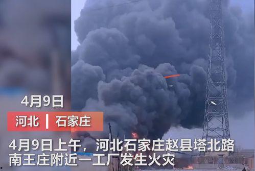 东营媒体爆料事件视频曝光,东营媒体曝光事件视频引发热议