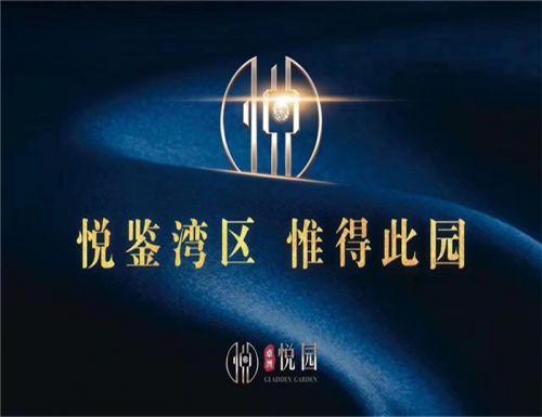 海诺官方爆料最新消息新闻,揭秘行业动态，引领未来趋势  第2张