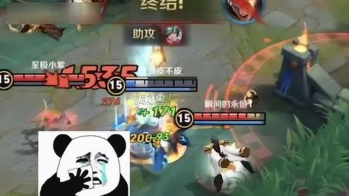 山东猴哥爆料视频播放,揭秘幕后真相，带你领略网络红人魅力  第3张