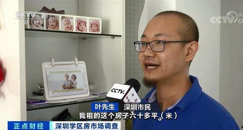 叶先生最新爆料深圳,深圳发展新动向
