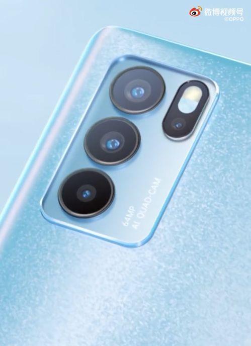 官方兔年爆料视频大全最新,精彩瞬间尽收眼底 第3张 官方兔年爆料视频大全最新,精彩瞬间尽收眼底 第3张