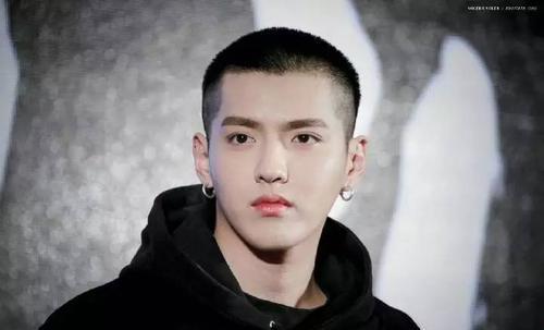 吃瓜娱乐圈大燕子,大燕子吃瓜记  第3张