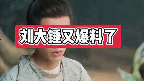 刘大锤爆料爱豆是谁啊视频,视频爆料爱豆身份大猜想 第2张 刘大锤爆料爱豆是谁啊视频,视频爆料爱豆身份大猜想 第2张