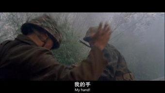 风语者手机在线观看,揭秘神秘通讯密码的传奇故事