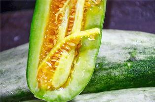 俄罗斯网红吃瓜,吃瓜大作战！  第2张