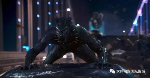 黑豹在线观看66,在线观影之旅，66分钟见证传奇