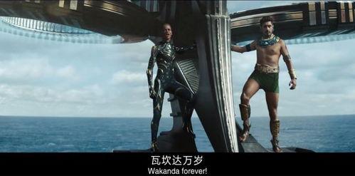 黑豹在线观看66,在线观影之旅，66分钟见证传奇  第3张