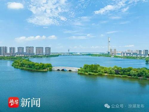 吴江汾湖新闻爆料,揭秘当地最新动态与热点事件  第2张