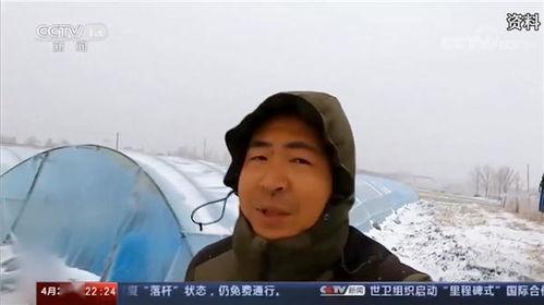 农民网红爆料事件视频,揭秘农村网络直播背后的真相  第3张