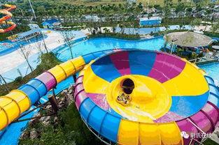 水上乐园爆料视频,揭秘爆笑爆料视频背后的欢乐时光