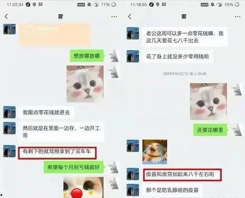 胖猫事件进展最新爆料,最新爆料揭示惊人内幕,真相逐渐浮出水面 第2张 胖猫事件进展最新爆料,最新爆料揭示惊人内幕,真相逐渐浮出水面 第2张