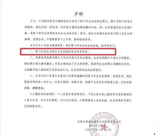 陈飞爆料视频最新,事件背后惊人真相  第2张