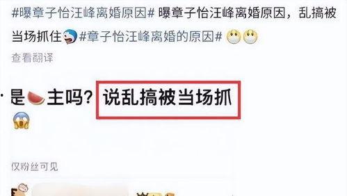 刘大锤爆料猛料最新,娱乐圈惊天猛料大揭秘！  第2张