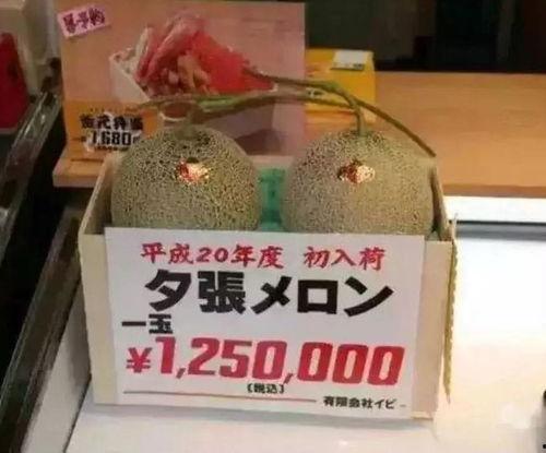 吃瓜娱乐有收益吗,揭秘网络时代收益新途径  第2张