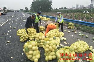 武都网红吃瓜群众视频播放