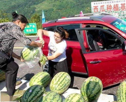 武都网红吃瓜群众视频播放 第3张 武都网红吃瓜群众视频播放 第3张