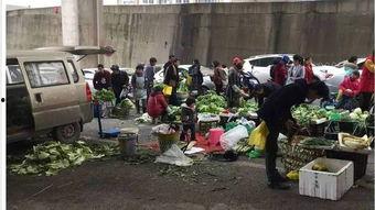 关注最新岑溪市民爆料,市民关注焦点聚焦  第1张