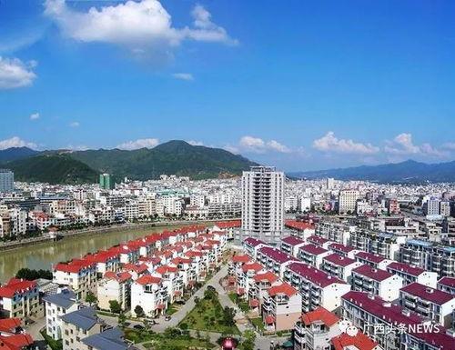 关注最新岑溪市民爆料,市民关注焦点聚焦  第3张