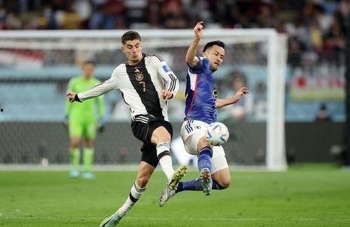 日本世界杯最新爆料消息,揭秘神秘阵容与备战策略  第1张