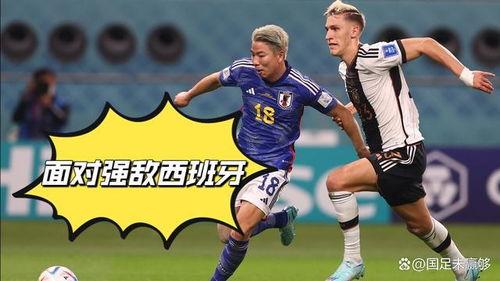 日本世界杯最新爆料消息,揭秘神秘阵容与备战策略  第3张